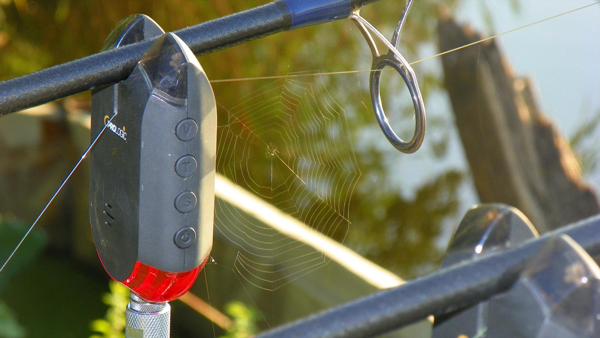 Boiliesmania (2) - 2011 - 1009094.JPG